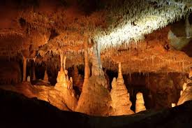 0d0ebb90-00d3-4d94-8182-1936d9fce800