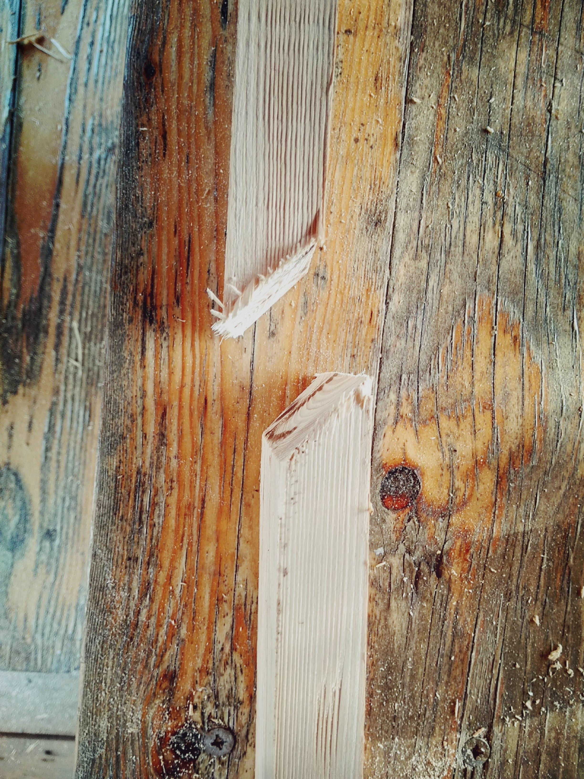 IMG 20210304 153503 HDR