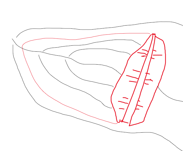 Da9r48p2lObJD 0mIEBGeD