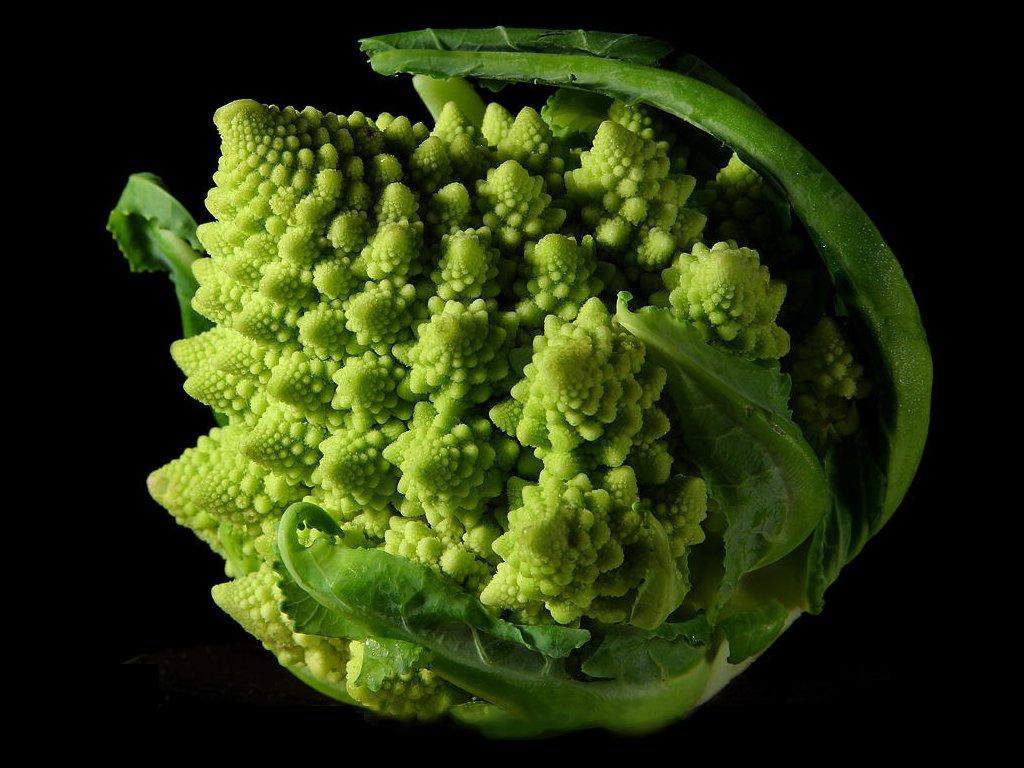 Fractal Broccoli[1]