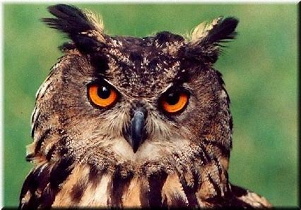 0fd7af01-dda9-4361-b691-cddc9086a83c