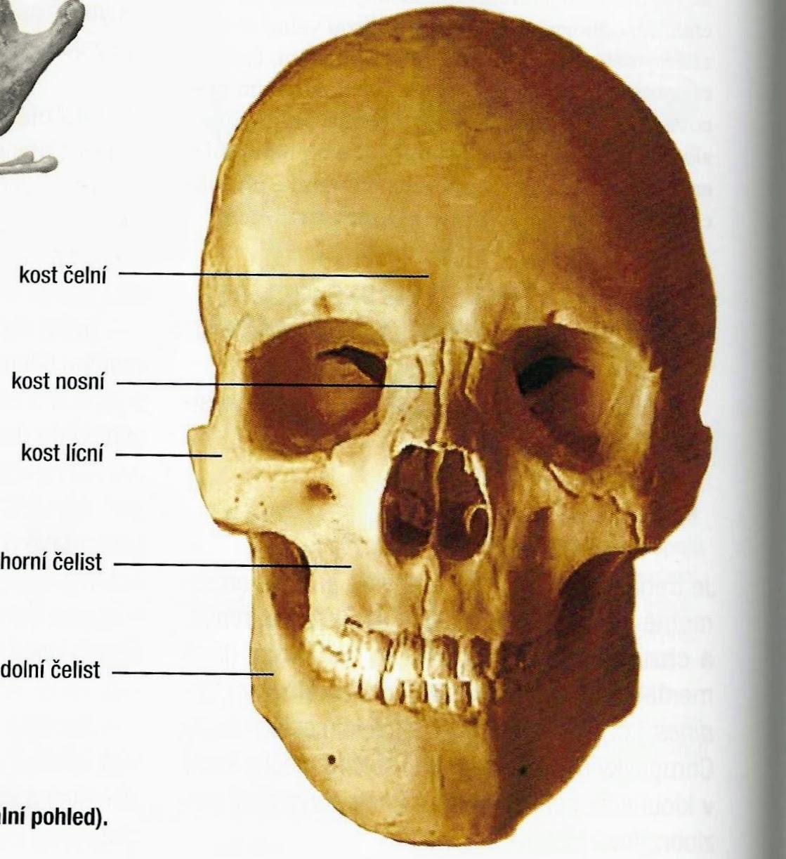 2022-10-02 104937 3 (1)