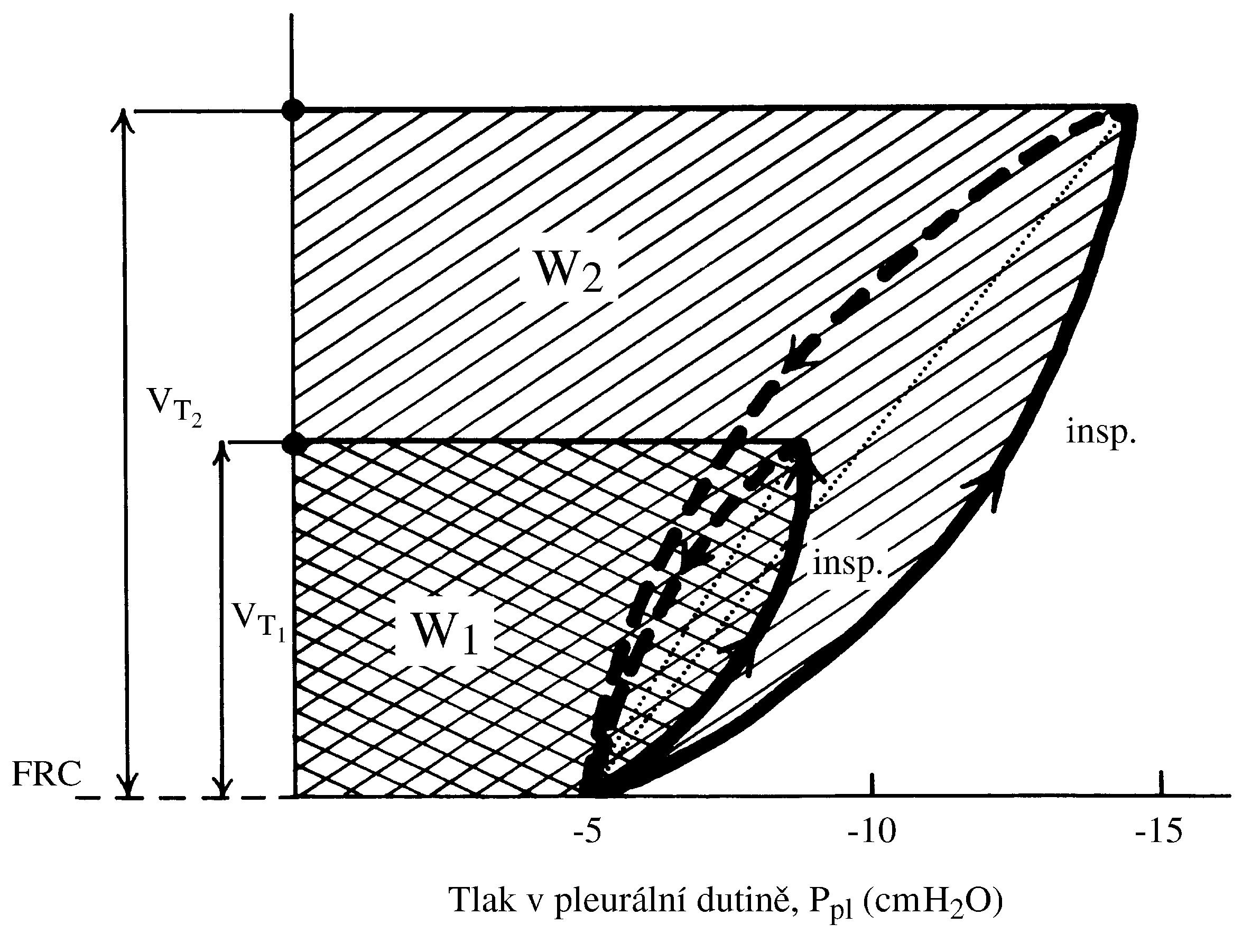 2021 Patologicka fyzio 1 Page 304 Image 0001