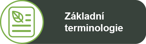 zakladni terminologie