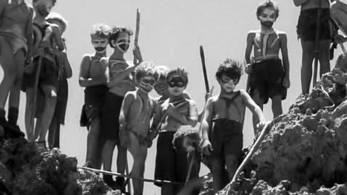 file-20200511-49589-1djcaq0