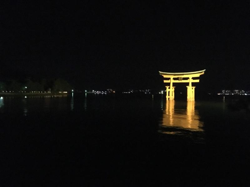 gate in water night