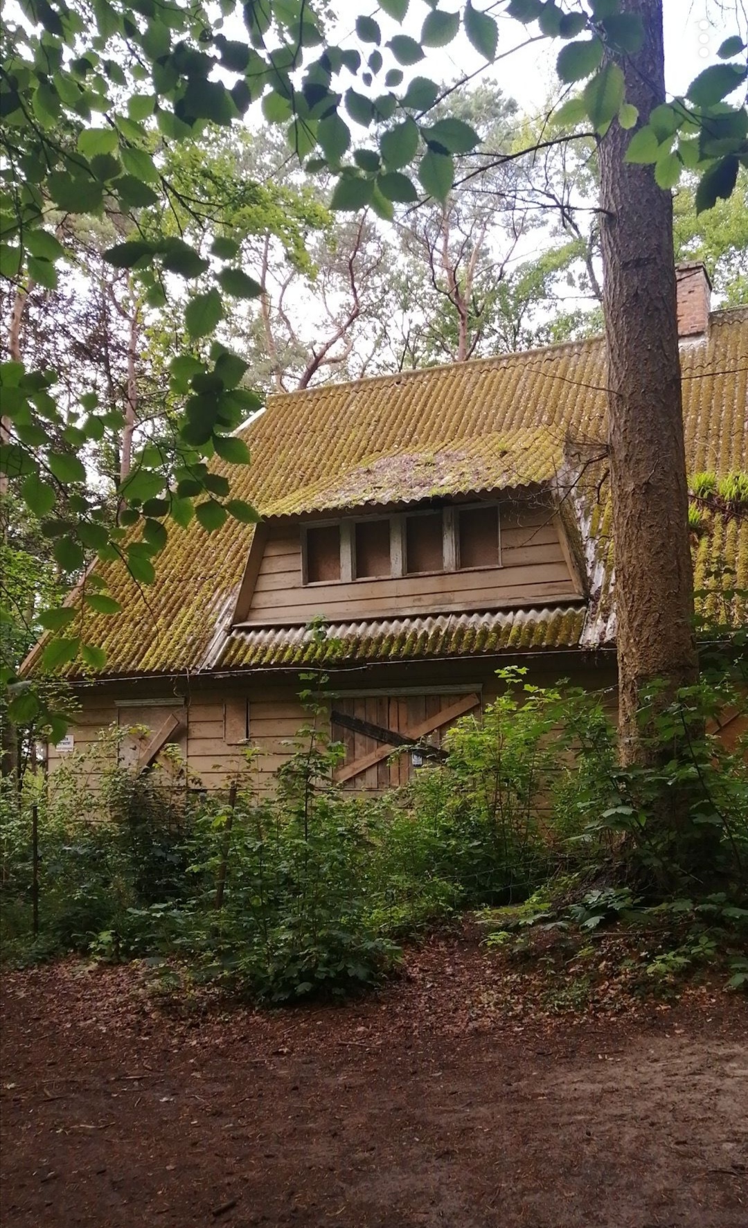 Screenshot 20230921 141136