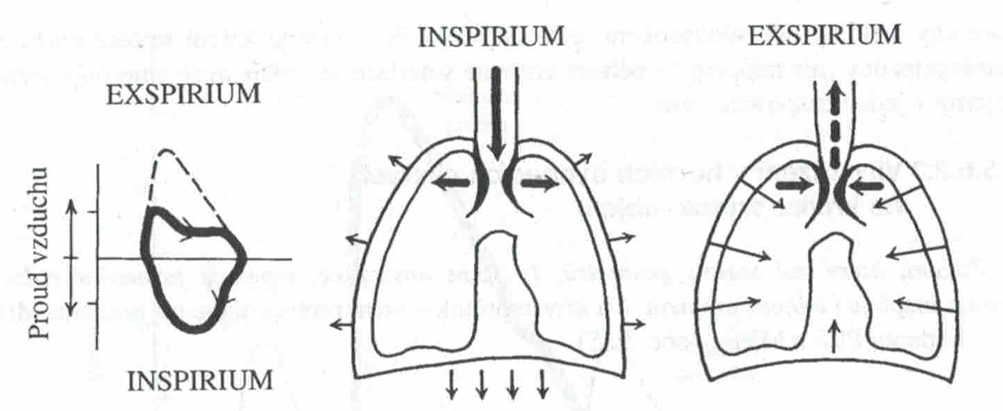 Skener 20231220 (31)