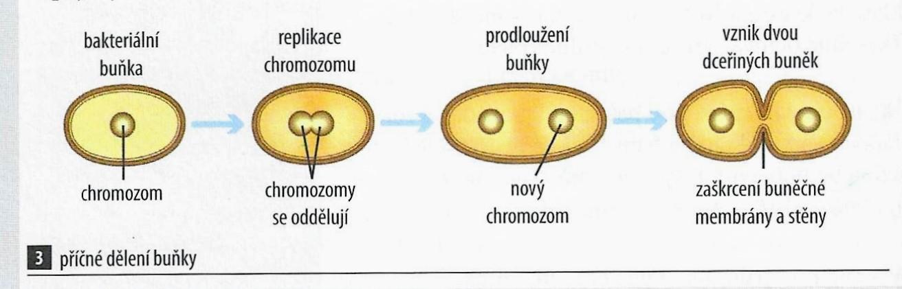 2022-10-28 010078 2 (1)
