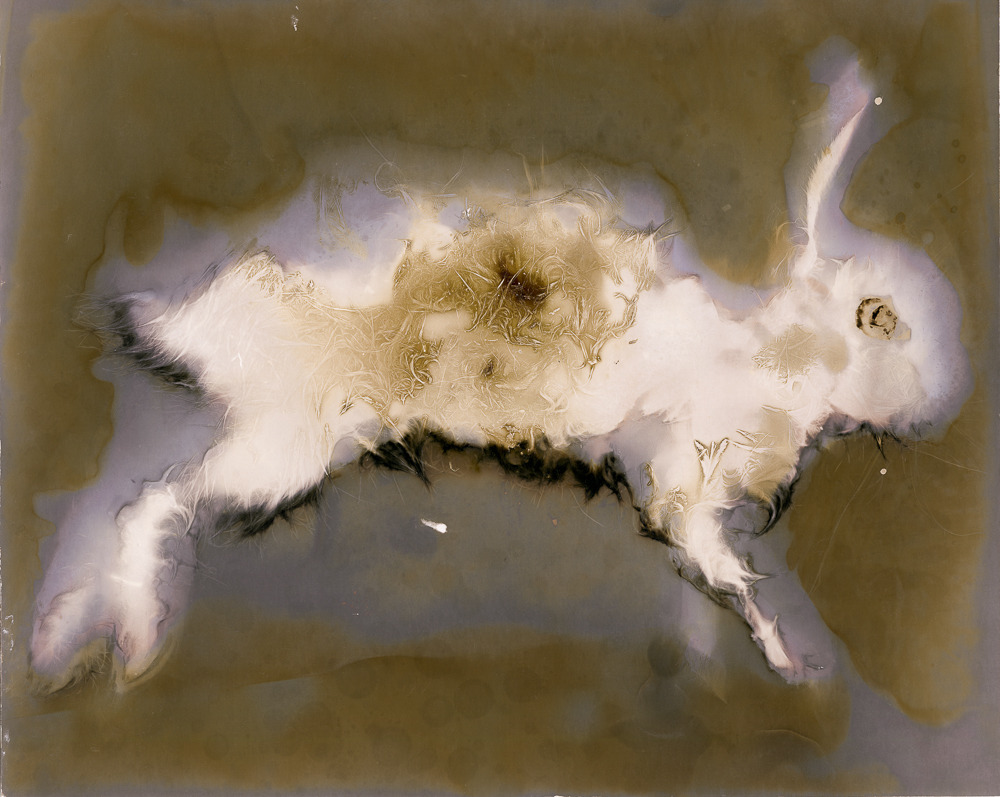 tumblr pf0ngcJjzw1uorwgro2 1280