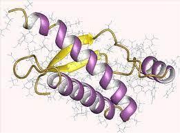 1422b644-d734-4e66-964e-3f68d68fad5c