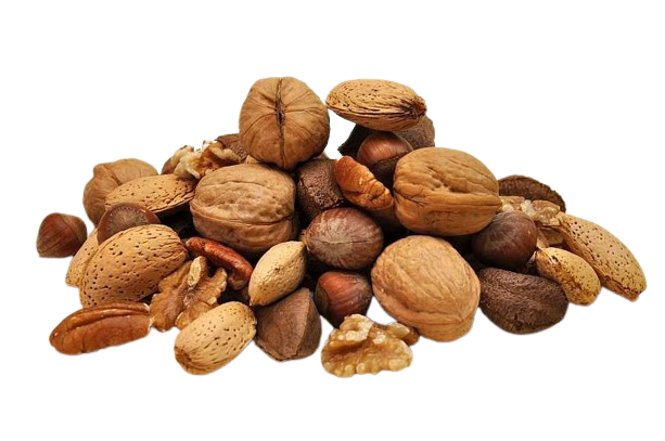 e8089181399e5802c45b37b91ceddcf4 ruzne-orechy