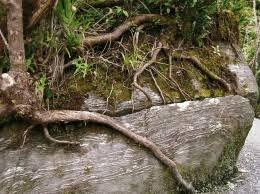 176da433-0a9d-4cc9-93b4-3159f4c2ed17