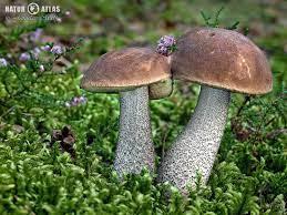 1788c20f-2372-4d24-aca3-c81e252eb638