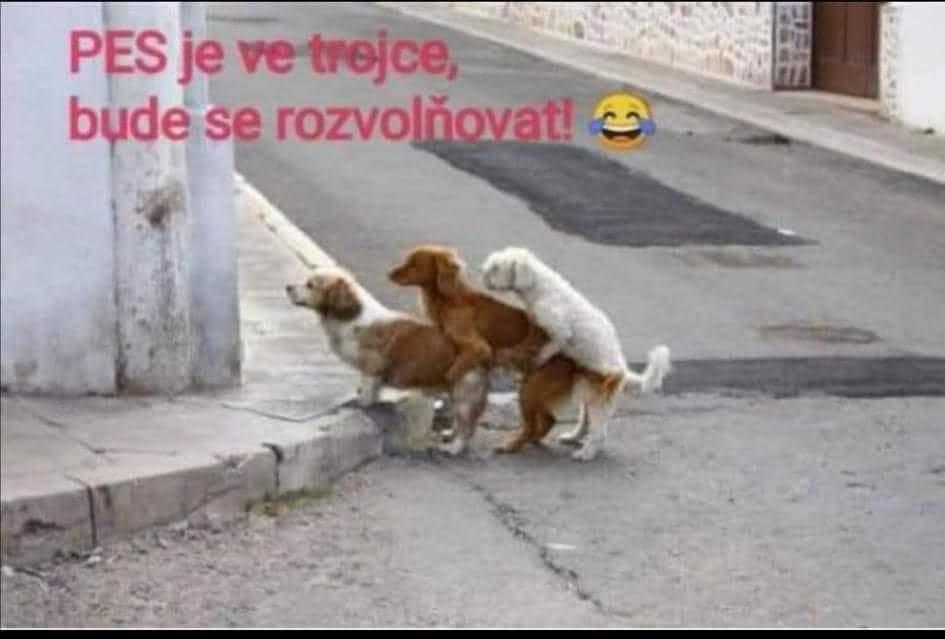 127238480 2857139557943767 1951665820955481477 n