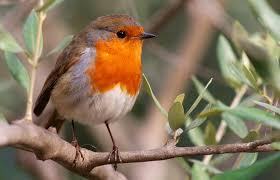 19b0c915-26b2-453a-aa2e-ef6bd65aa0fa