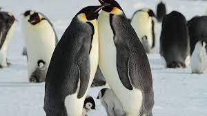 19bd516b-6734-45c5-8139-8eeeee5b3f69