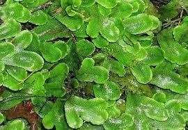 3fd35ec8-f507-48a2-9d9d-3182f3cea5c9