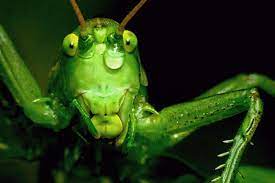 3f6de8a8-a6bf-42f6-be1a-7b372b0c6110