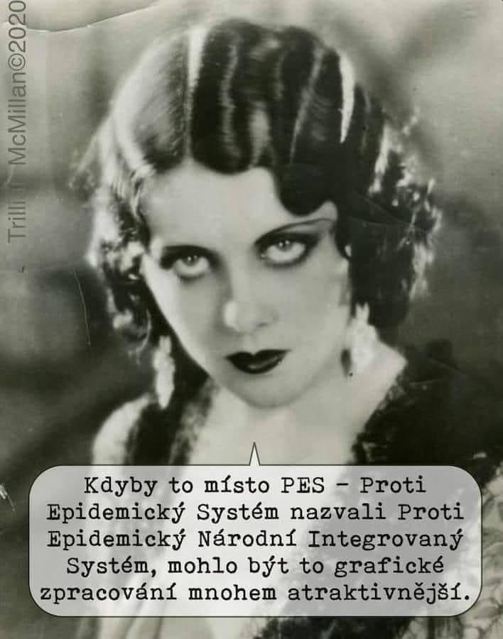 130713348 10159174383509905 2808073241570579944 n