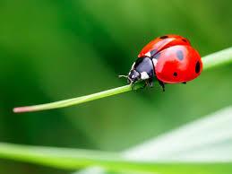 1b5f5712-c70a-409f-a9dd-0c5e5d6704bd