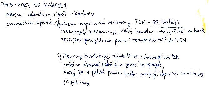 Transport do vakuoly