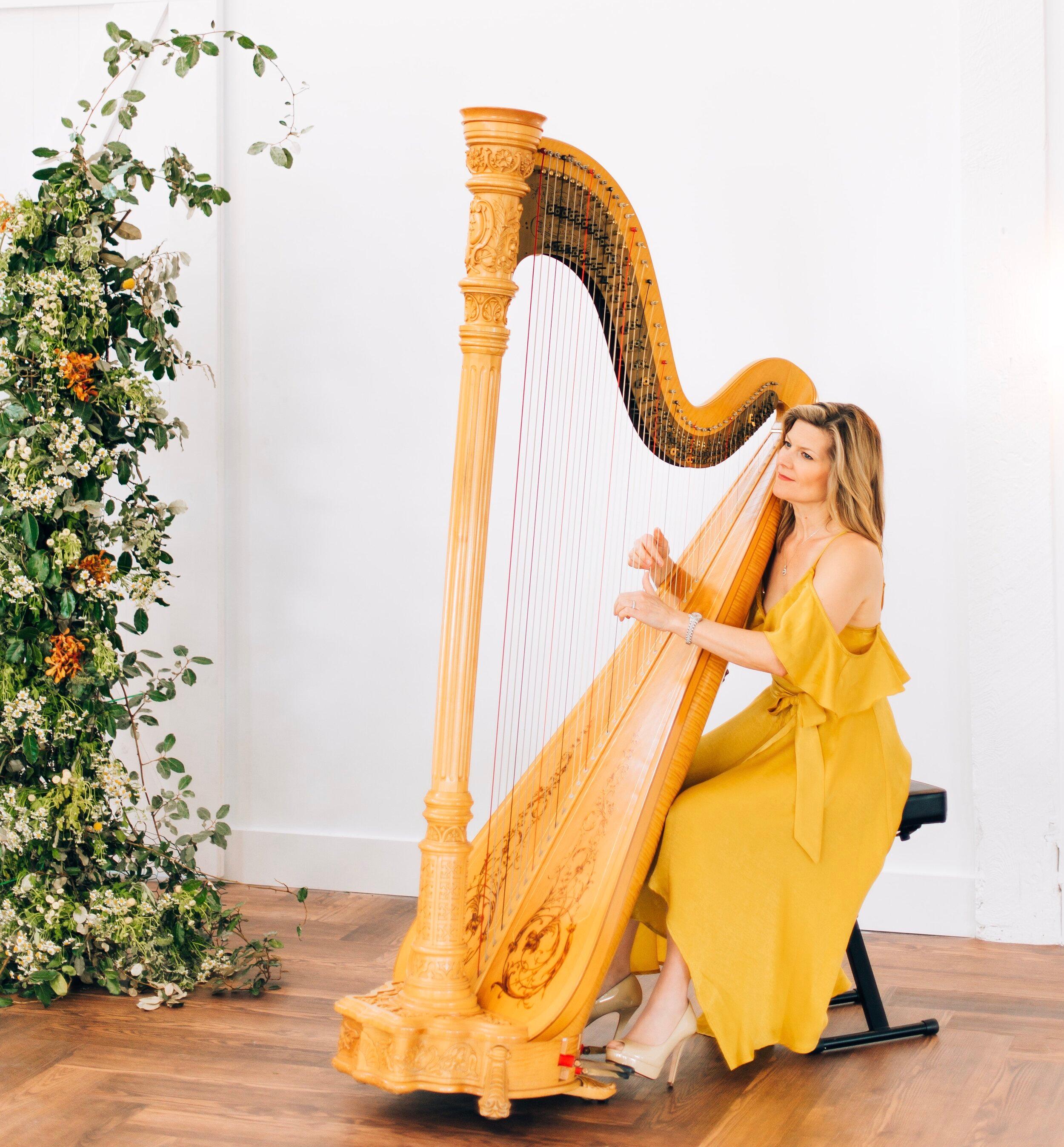 Kirsten+Agresta+Copely 1