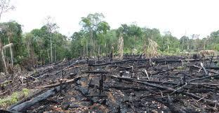 1cb04a96-836f-4258-a01c-c5f6965906ea