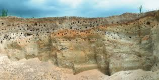 1de98f23-a1ad-49d4-8100-5696f30d1d3b