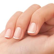 1db729c7-a819-459c-949b-a15922567737