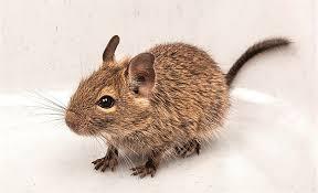 1e67c0f2-e29d-4c96-9b87-a65a510f3ccd