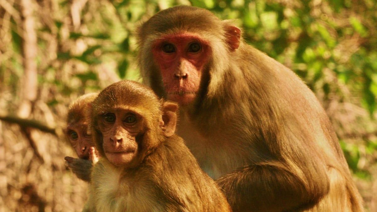 579dcac611d109a2d24a56486aa65c79