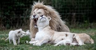 1f39d997-9638-4b49-9b2a-41c51c39c204