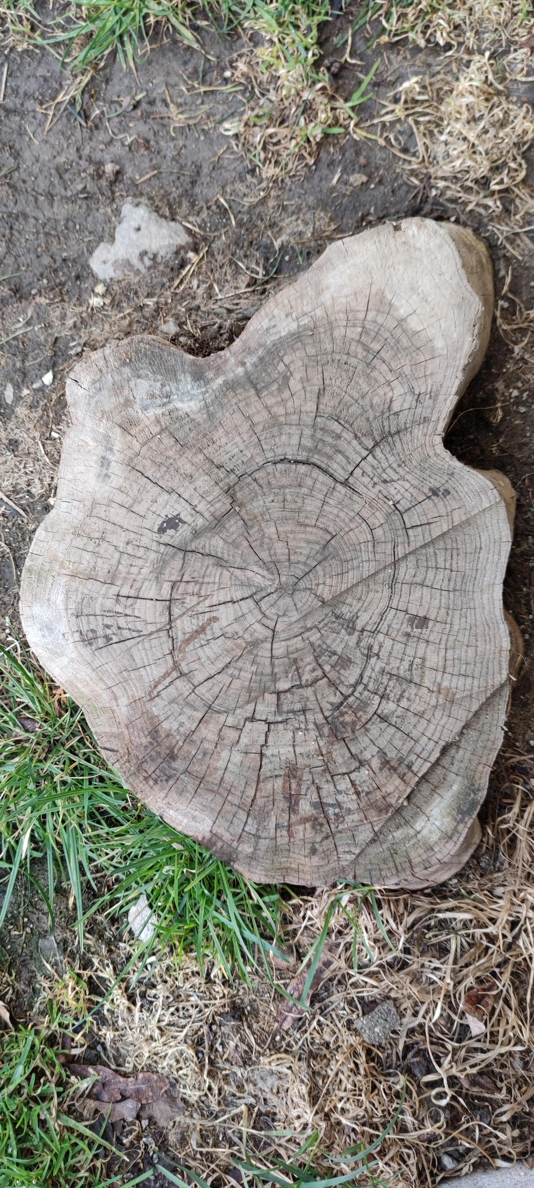 16178109057777136786210470091044