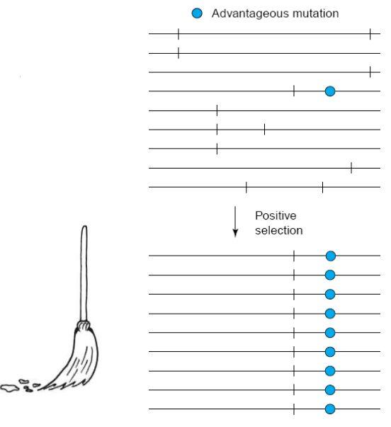 eecb2966-5bb4-4a81-b568-491daacd2ef1