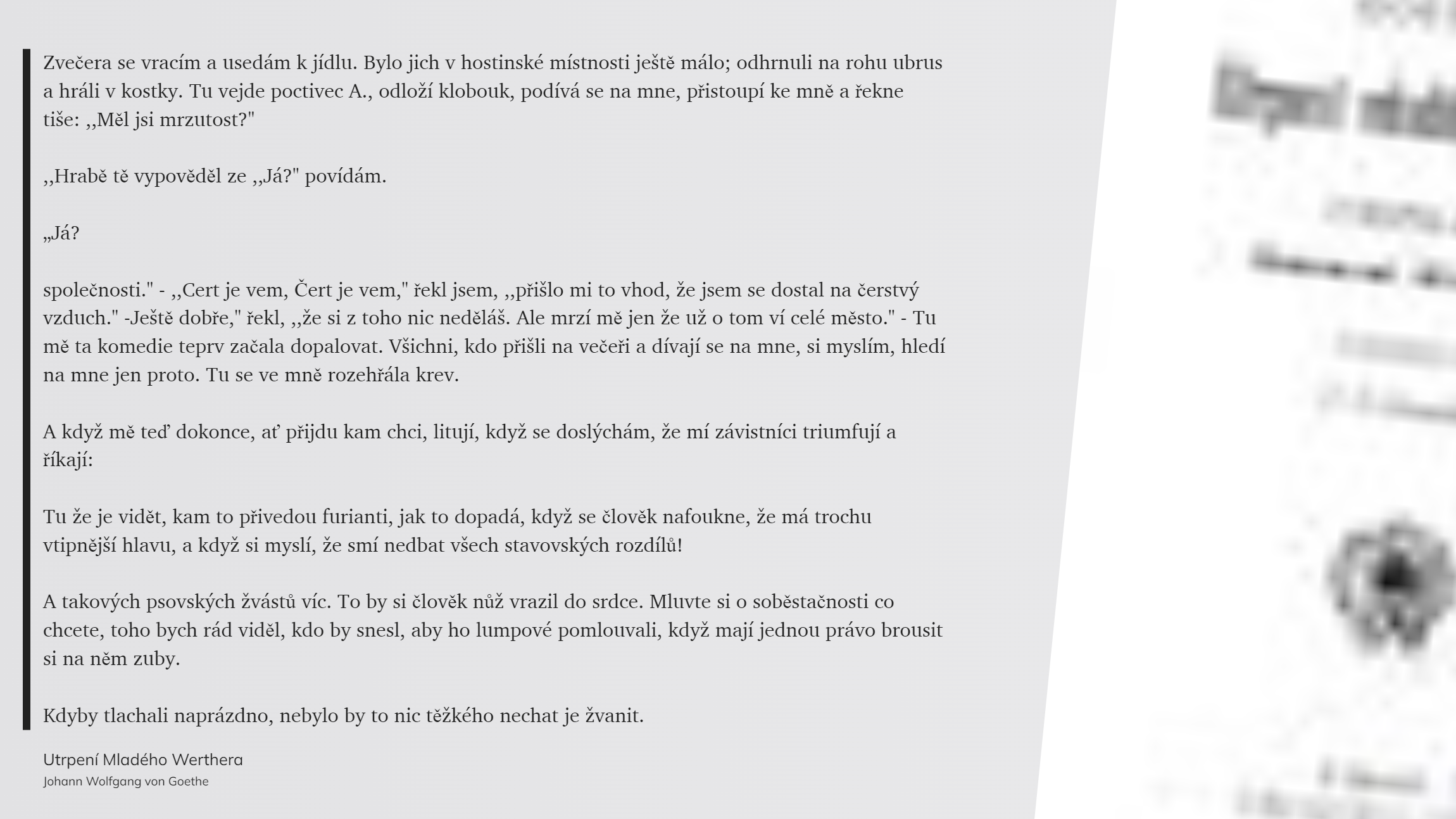 Utrpení Mladého Werthera (36)