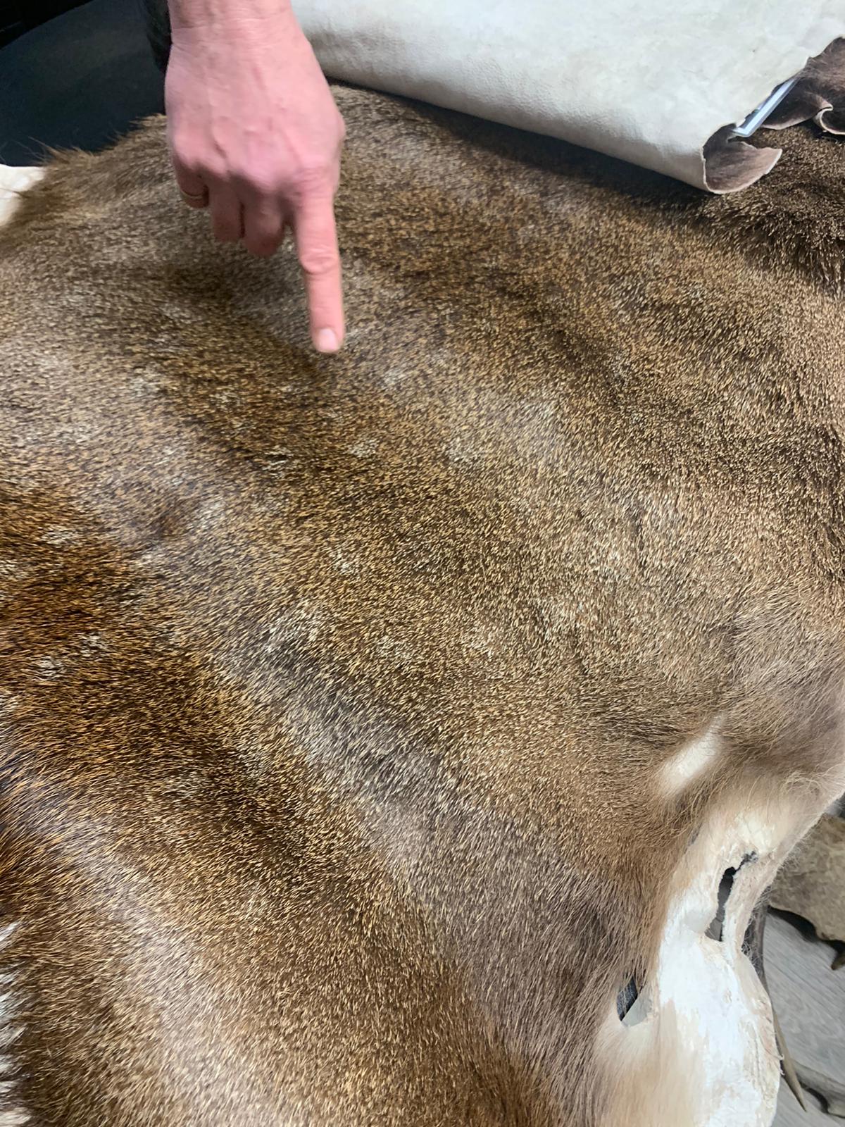 4da30925-35d9-4a3f-af34-f13fc5a76058