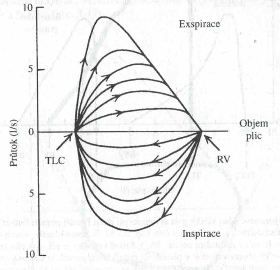 Skener 20231220 (26)