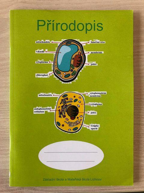 197361546 2345374058930961 1204362350291527413 n