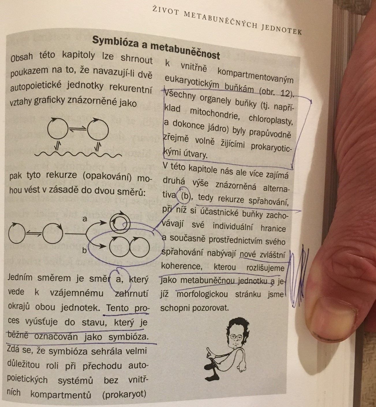 symbióza a metabuněčnost