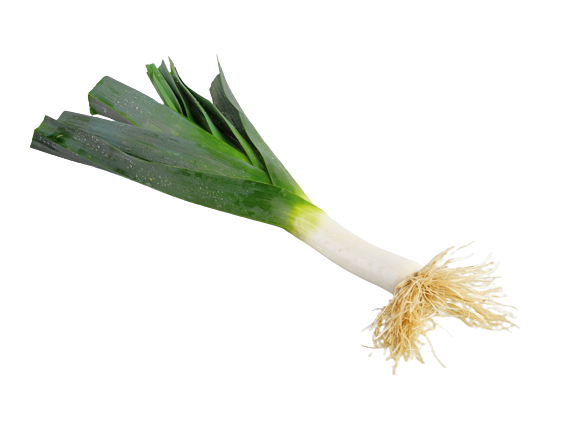 p2923-semo-zelenina-takii-por-pravy-hy024-removebg-preview