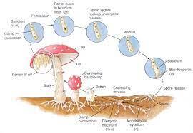 21b8c376-57aa-40e4-99dc-fa3795ba0faf