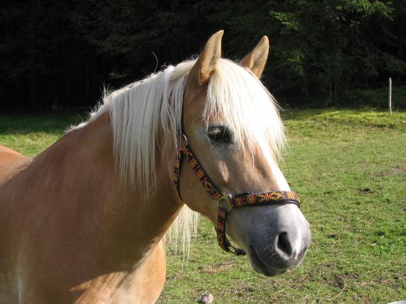 R3658c1e0432bf4e1db91904f6767c332