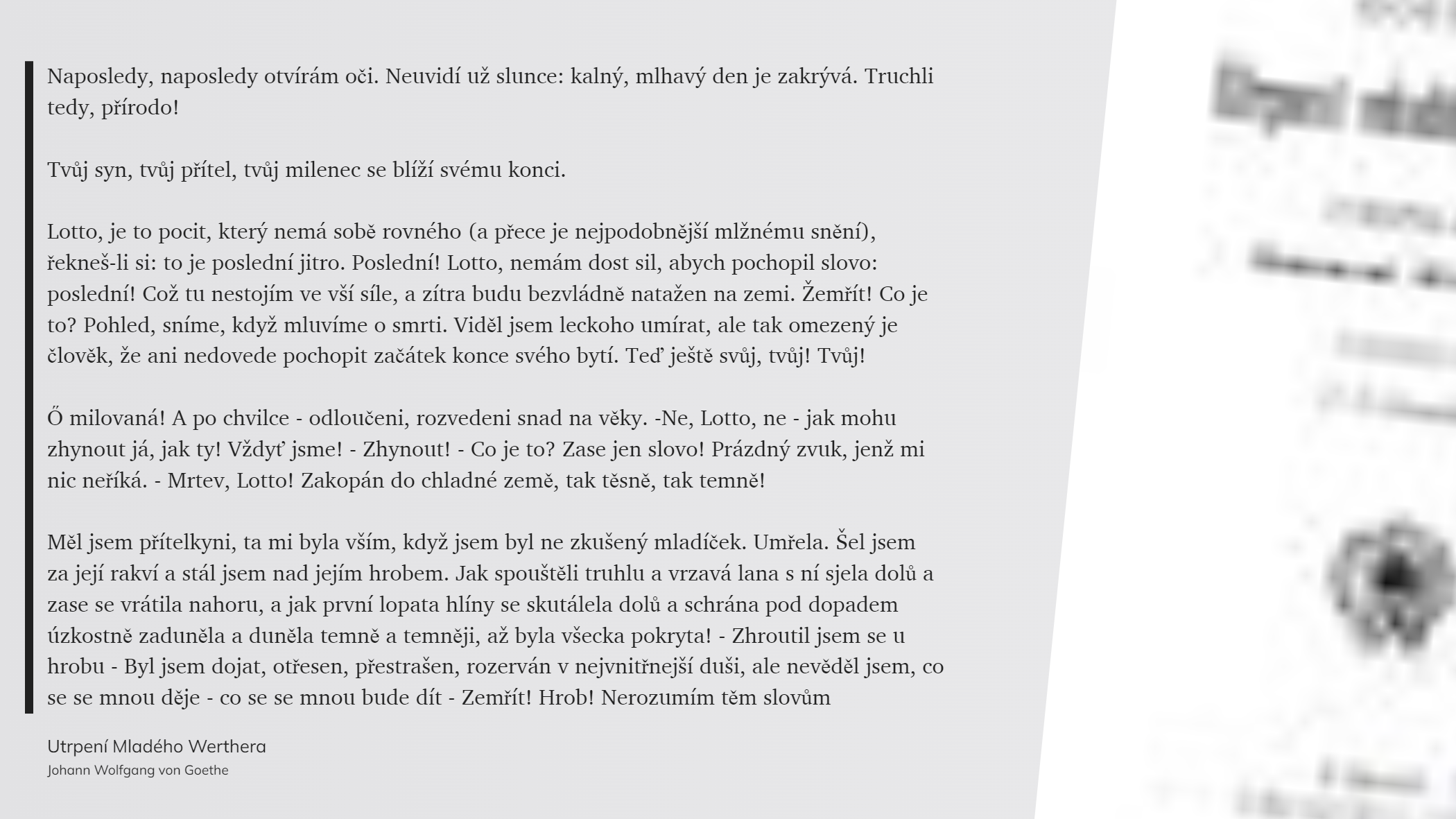 Utrpení Mladého Werthera (52)