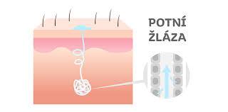 2279e22d-0bd4-4446-8398-14f582e0ec81