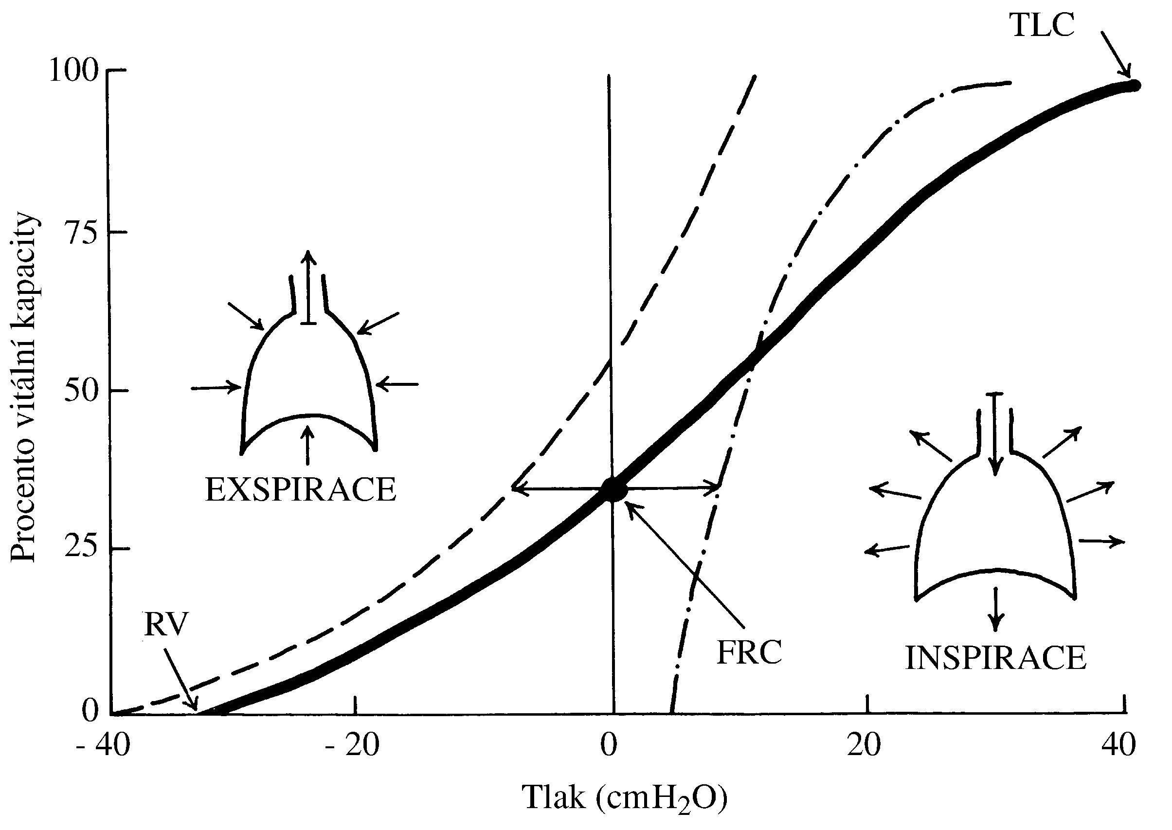 2021 Patologicka fyzio 1 Page 310 Image 0002
