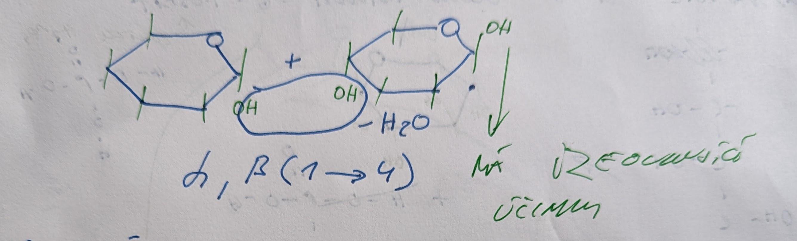 PXL 20221001 122001569