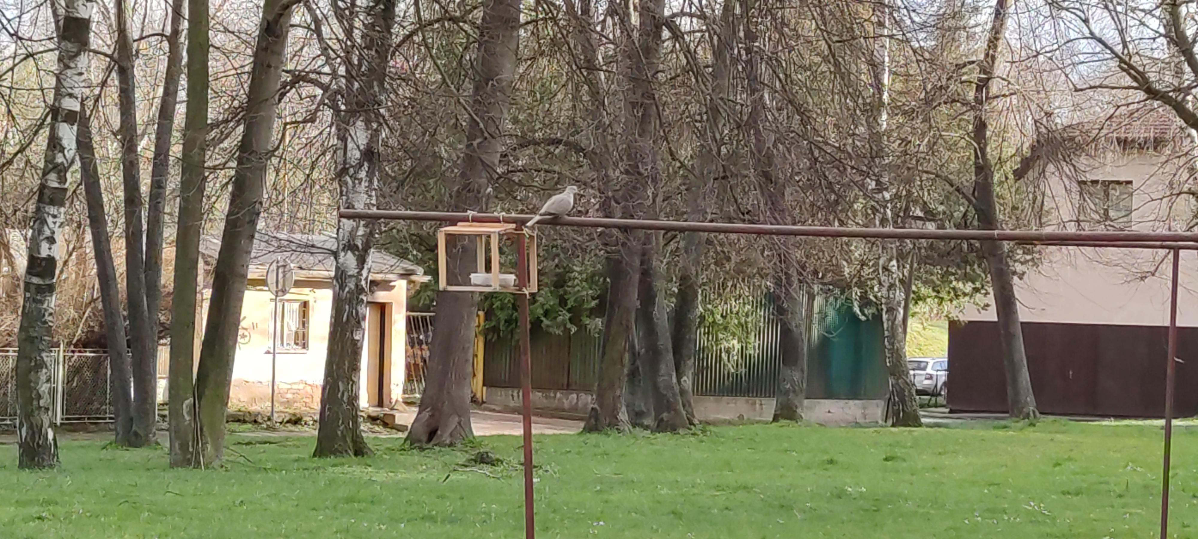 16178110163691331166582439500030