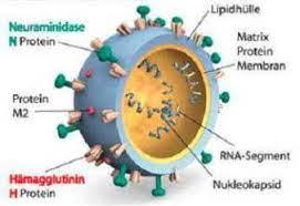 24a2c623-98bd-410a-a8e9-4fd120e77fa2