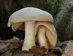 24b3a52c-08c8-4104-a608-d3268caa2337